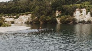 Wild animals, Камчатский край