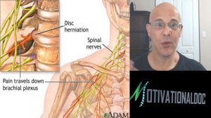 How to Overcome Cervical Pinched Nerve & Radiculopathy (Don't Panic) - Dr. Alan Mandell, DC