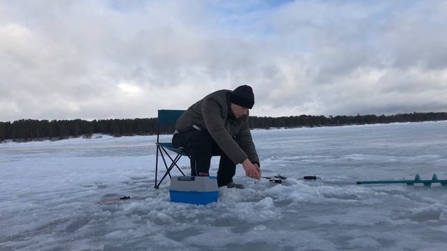 Рыбалка на Чудском озере.Выходные отдыхаем культурно.Кот дома голодный ждёт смотреть онлайн