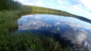 Клёв карася возле берега на поплавочную удочку. Рыбалка в июне (Часть 2)