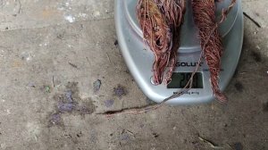 lv_0_20230715184722.mp4