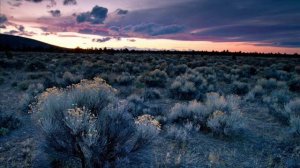 Псалтирь. Псалом 36.