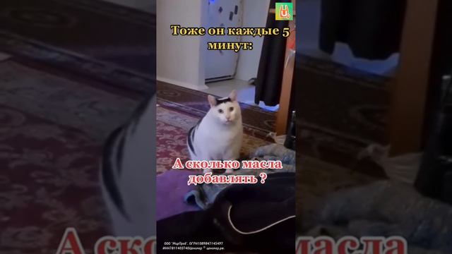 lкормилец❤️