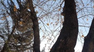 Ессентуки ноябрь 2020г.