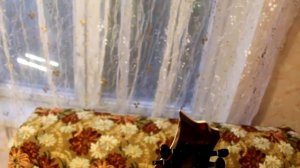 ESP LTD H-200 Обзор и продажа