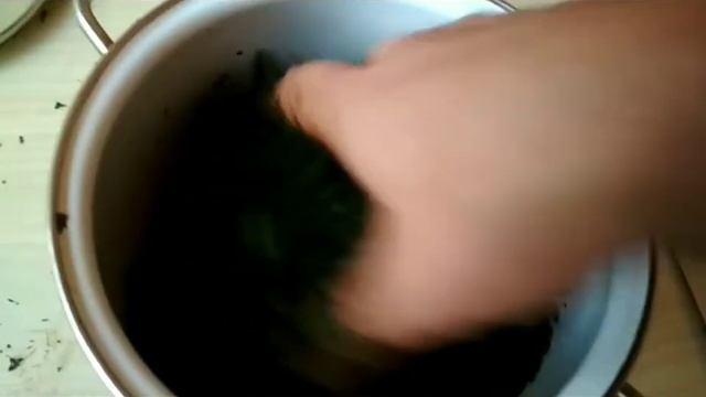 Сушёная и ферментированая мелисса.