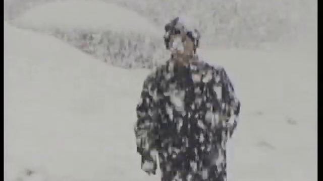 Снегопад 2002