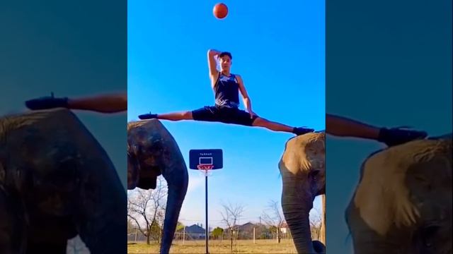 Flexible basketball #basketball #trickshots