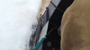 мотособака с модулем толкач по слузу .