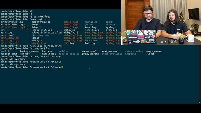 O que é? Quais tipos de arquivos e como são utilizados no Linux | Coffops смотреть онлайн