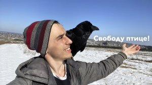 Зима уходит, снег тает, Гоша гуляет