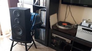 PIONEER CS-3030