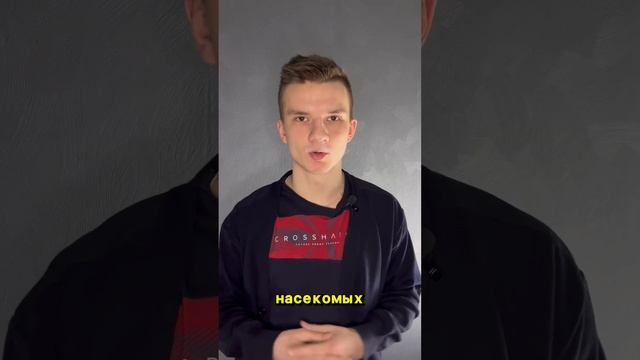 Почему мы боимся щекотки? #shorts