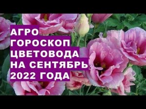 Агрогороскоп цветовода на сентябрь 2022 года