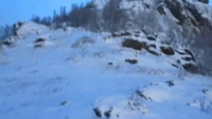 г.Куропатка.