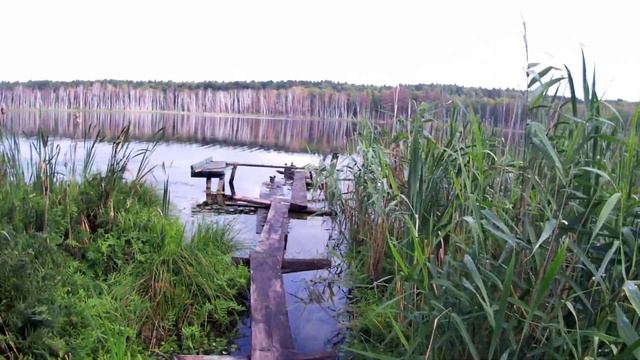 154.Озеро Линёво. Конец сезона. Одинокий рыбак. База Серебряный берег. Деревня Окунево.