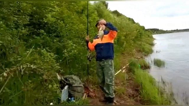 Рыба начала клевать.Рыбалка на фидер в Мурыгино, река Вятка. смотреть онлайн