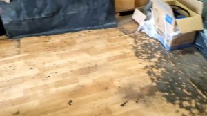 #Меганыч #22 Наконец-то нашел и купил спойлер на renault megane 2 в кузове универсал #CHVV