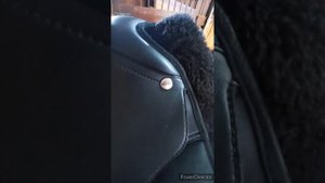 Седло универсальное Wintec 500 VSD с уклоном в выездку.