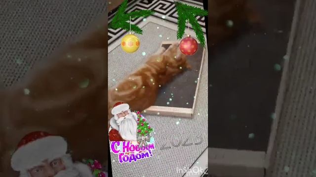 С НовымГодом!??