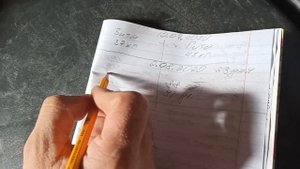 Вес поросят в четыре месяца//на бмвд пять процентов//для меня вес просто супер.