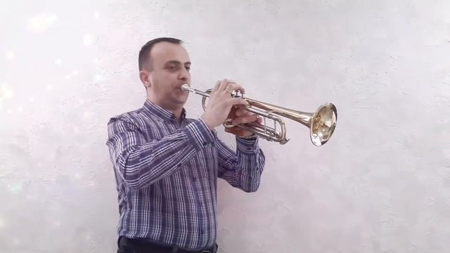 Аве Мария - Ф. Шуберт (соло на трубе) | Ave Maria - F Schubert (Solo trumpet) смотреть онлайн