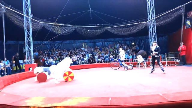 Цирк часть1 смотреть онлайн