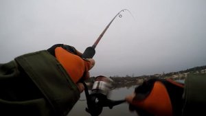 Ловля окуня. Дроп шот или отводной ?