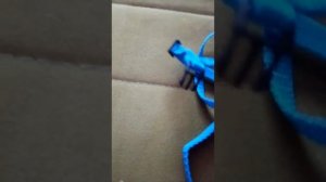 Как одевать шлейку на кролика