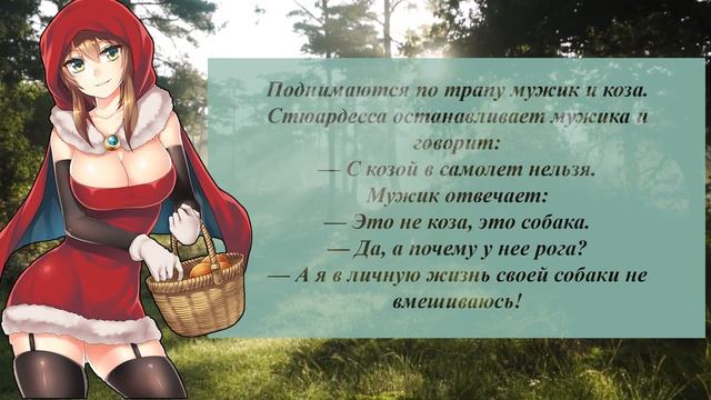 Как в первую брачную ночь. Подборка смешных анекдотов смотреть онлайн