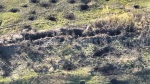 Штурм Муравейников Бои в окопах.