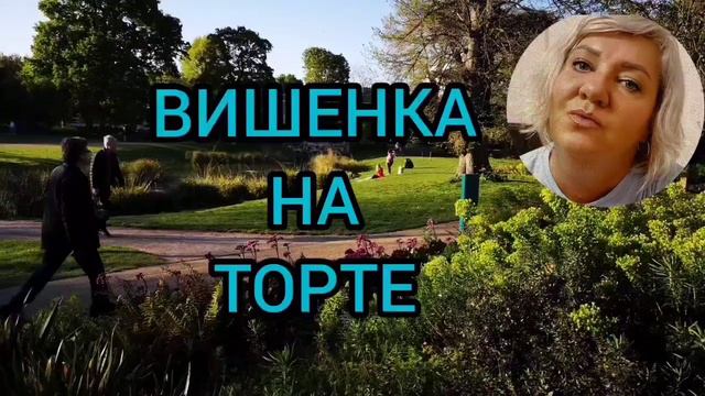 СОЖГЛА ВОЛОСЫ. ANYANASTYA LIFE. ОБЗОР.