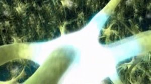 Великая наука России. Владимир БЕХТЕРЕВ.