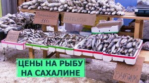 Стартовала сезонная продажа наваги. Почем рыба на Сахалине?