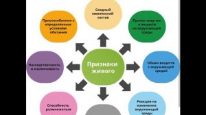 Свойства животных организмов