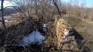 Поиск с металлоискателем у старинной водяной мельницы / Поиск с металлоискателем видео / коп
