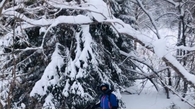 Архангельск зимняя сказка 2019 смотреть онлайн
