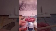 Краски луч