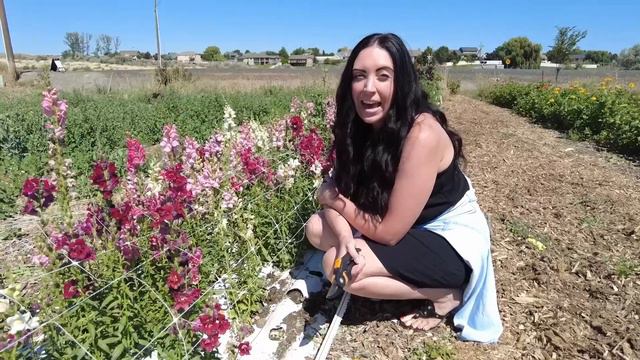 Favorite Things Friday - Haven Flower Farm - Ep. 44 смотреть онлайн