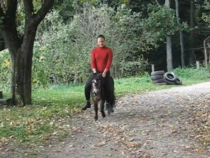 Girl on a little pony На маленьком пони