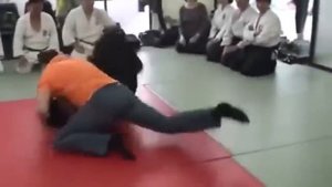 Вольная борьба против Айкидо ! Реальный Бой !