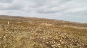 (с участка) Крым, Ленинский район, глазовское сельское поселение, Снт маяк, уч. 36