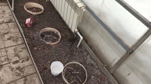 Водяное отопление в теплице