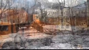 Измельчение и погрузка порубочных остатков после удаления деревьев