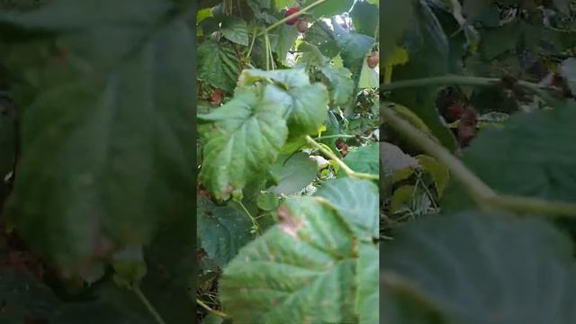 30 ноября 2020 г.1