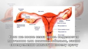 Выделения в середине цикла: причины