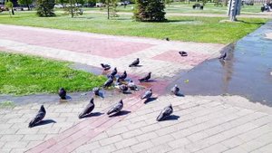 Магнитогорск субботняя прогулка