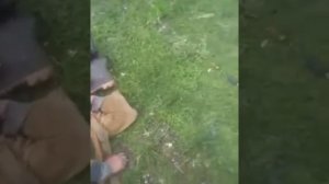 Андрюха,будешь чай?