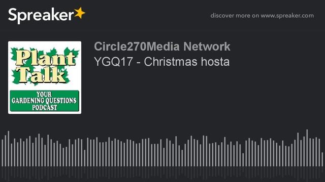 YGQ17 - Christmas hosta смотреть онлайн