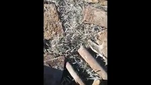 коп металла.mp4